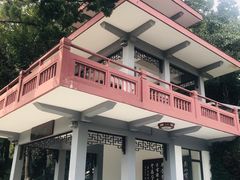 -上海市保健医疗中心