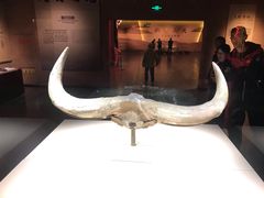 -宁夏博物馆