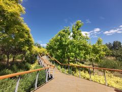 -东郊湿地公园