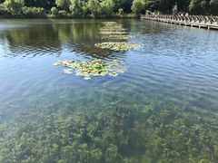 -溱湖国家湿地公园