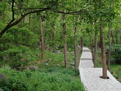 -封龙山风景区