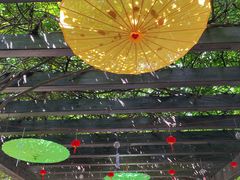 -白马涧龙池景区