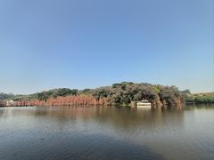 -三水森林公园