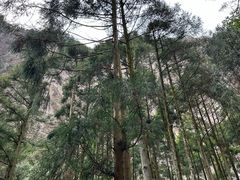 -雁荡山风景名胜区