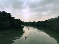 -海珠湖公园