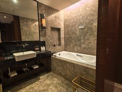 -河源万绿湖美思威尔顿酒店