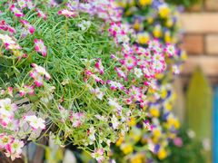 -Rabbit Cafe私房西餐甜点咖啡(栖霞路店)