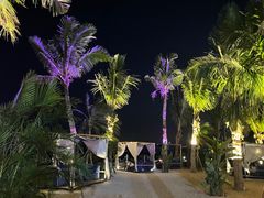-精酿农场Brew Farm·沙漠绿洲餐厅
