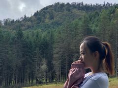 -硗碛藏寨·神木垒景区