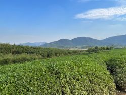 -湖州德清田美树心农乐园