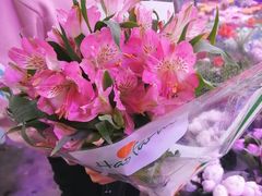 -花鸟鱼虫鲜花绿植市场(玉泉路店)