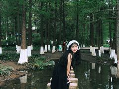 -重庆彩云湖湿地公园