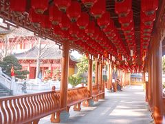 -上海东林寺(金山区)