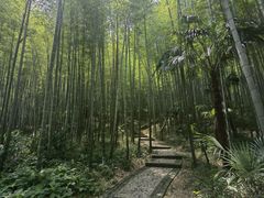 -南山风景名胜区