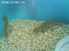 -中国福利会少年宫