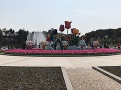 -上海鲜花港