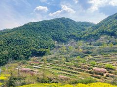 -四明山国家森林公园