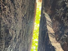 -五女峰国家森林公园