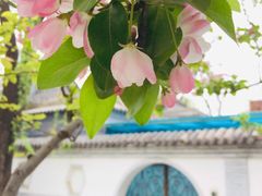 -海棠花溪(元大都城垣遗址公园)
