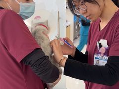 -美联众合动物医院·24h京西诊疗中心