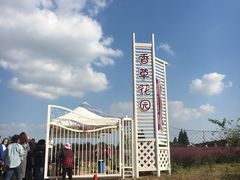 -鹅湖玫瑰文化园