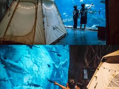 -郑州银基国际旅游度假区