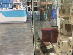 -暖阳宠物医院·犬猫康复中心·骨科