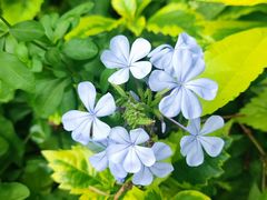 -四川大学(华西校区)