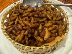 -顺德了能馆(虎门店)