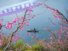 -河口景区