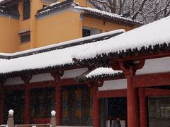-灵谷景区