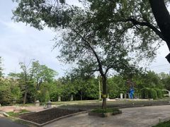 -黑龙江省森林植物园