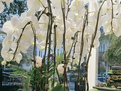 -FEI FEI FLOWER鲜花店·气球派对·宝宝宴布置(虹口德必运动Loft店)