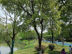 -贡湖湾湿地公园