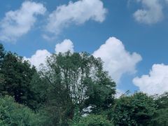 -广州白江湖森林公园