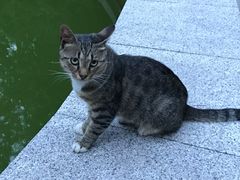 -上海科学技术职业学院