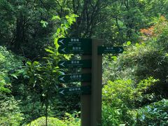 -杭州半山国家森林公园