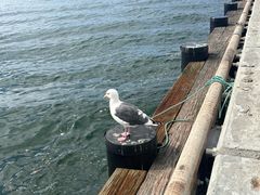 -中途岛号航空母舰博物馆