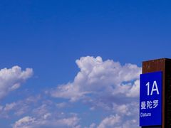 -密苑云顶乐园