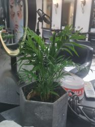 点击看大图 -木北造型