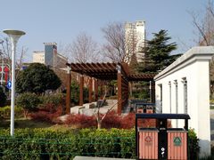 -紫荆山公园
