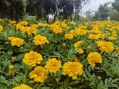 -狼山风景名胜区