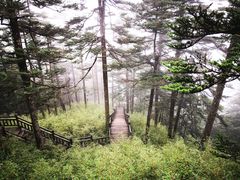 -农家土菜老煨锅(木鱼镇店)