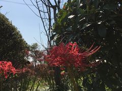 -南京金牛湖风景区