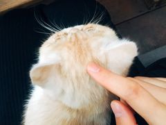-谷咖啡·鲜花绿植花园餐厅