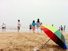 -日照海滨国家森林公园