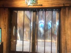 -杭州开元森泊度假乐园