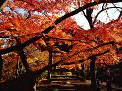-常寂光寺