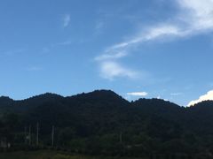 -王顺山国家森林公园