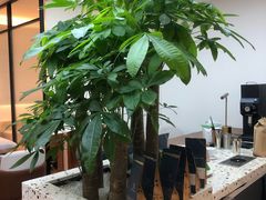 -Line 咖啡(石厦花园店)